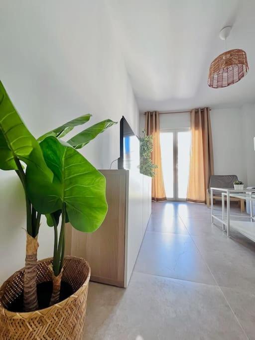 Lovely Apartment Close By City Center Малага Экстерьер фото